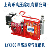 生产LYX100迷你型射击高压空气压缩机