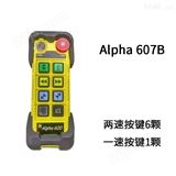 阿尔法600系列-Alpha 607B (433MHz)