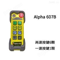 阿尔法600系列-Alpha 607B (433MHz)