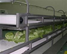 营口新型果蔬输送机可满足一切果蔬运输需要
