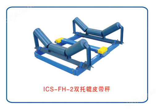 ICS-FH-2电子皮带秤