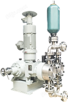 2PJ12.5(M)系列双泵头柱塞式/液压隔膜式计量泵