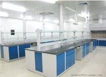 广州通风柜|广州实验室家具|广州实验台取材台|环扬*承建