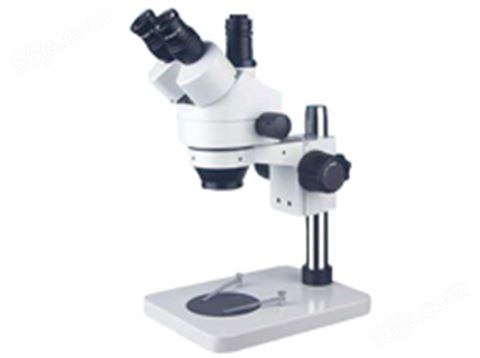 三目光学显微镜