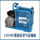 LYW100A潜艇装配高压空气压缩机【优质品牌】